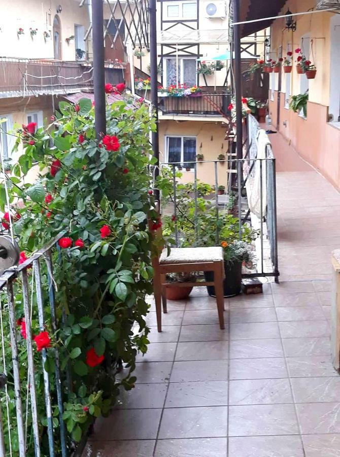 Apartment In The Historical Center Chernivtsi
